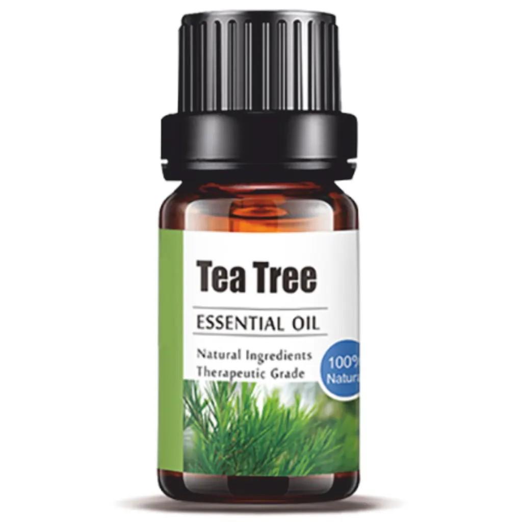 Ätherische Öle Teebaum 10ml