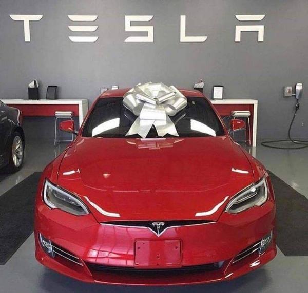 2025 Tesla model 