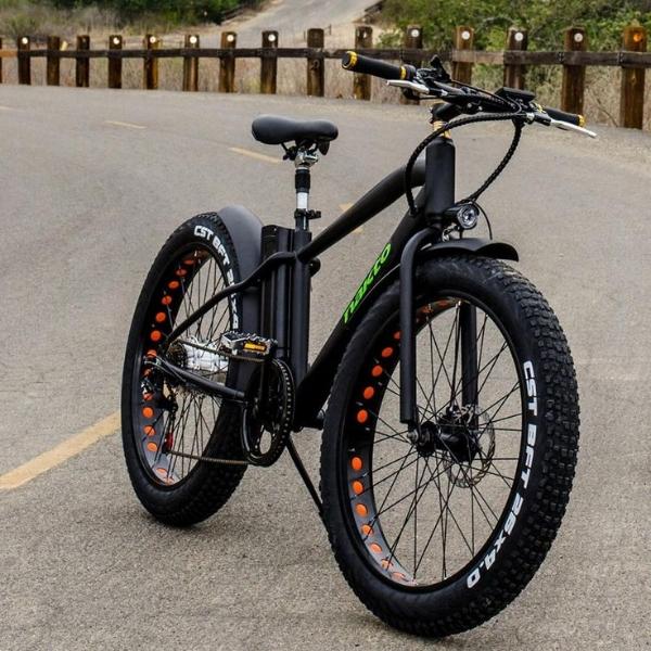 ELECTRIC BIKE 