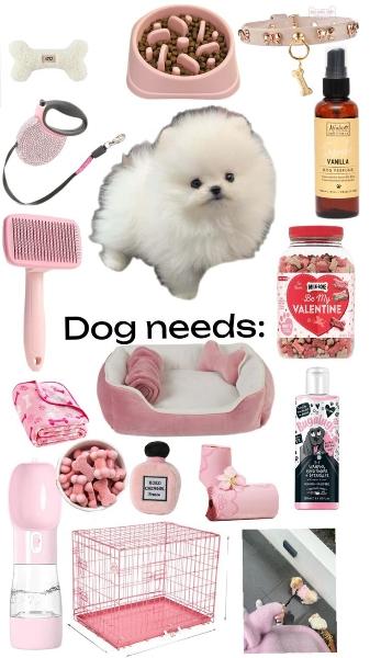 Items used for dogs a