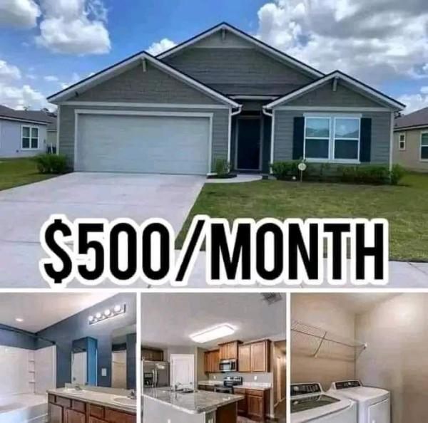 Renting 