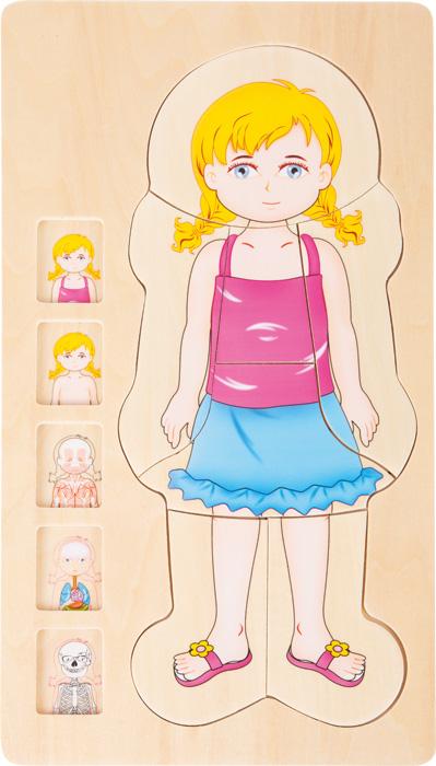 Schichtenpuzzle Anatomie Mädchen